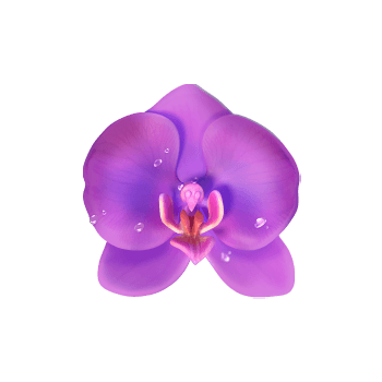 ทดลองเล่น Butterfly Blossom โบยบินสู่โลกแห่งผีเสื้อแสนงดงาม 20 ดอกซากุระผีเสื้อ_orchid