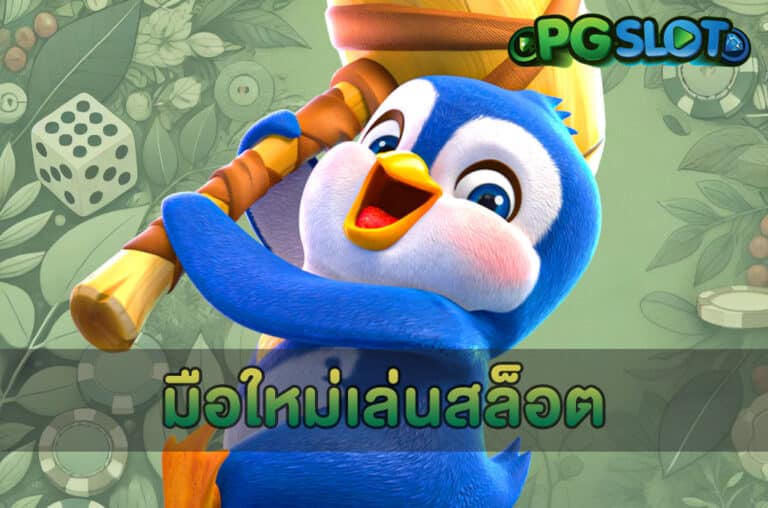 มือใหม่เล่นสล็อต